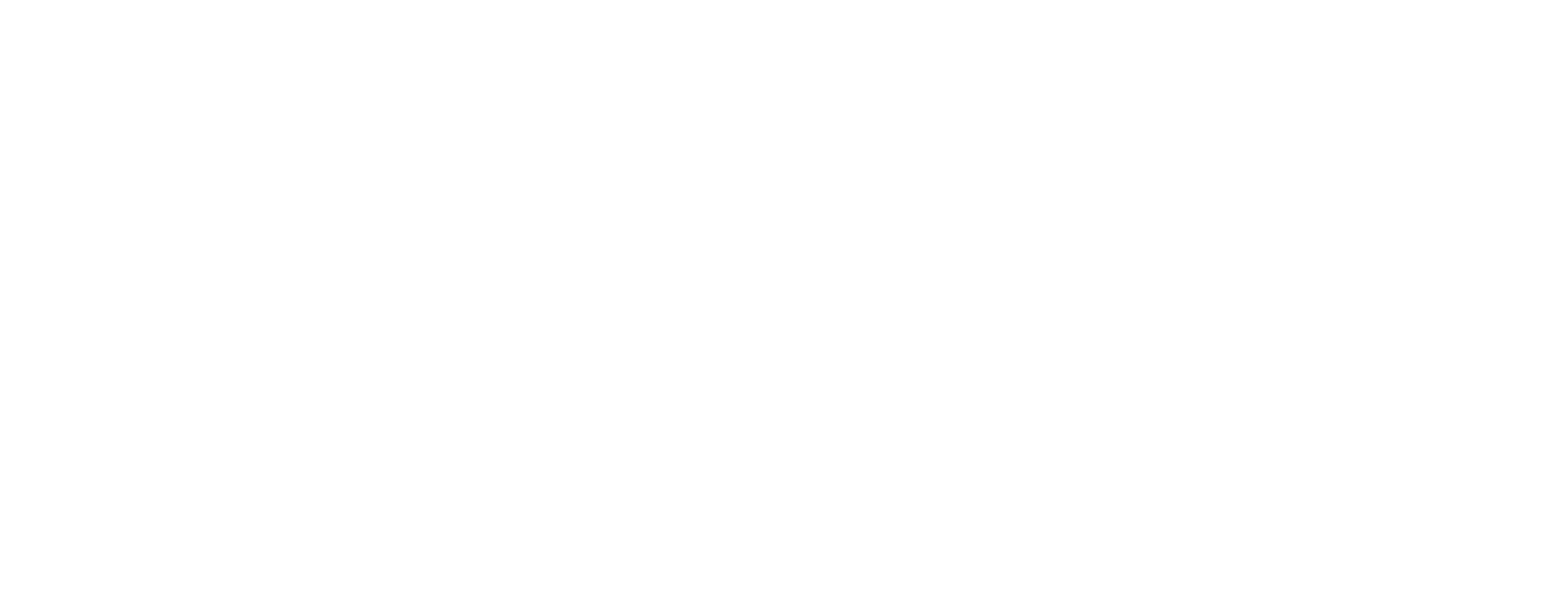 Estelon logo horizontal WHITE