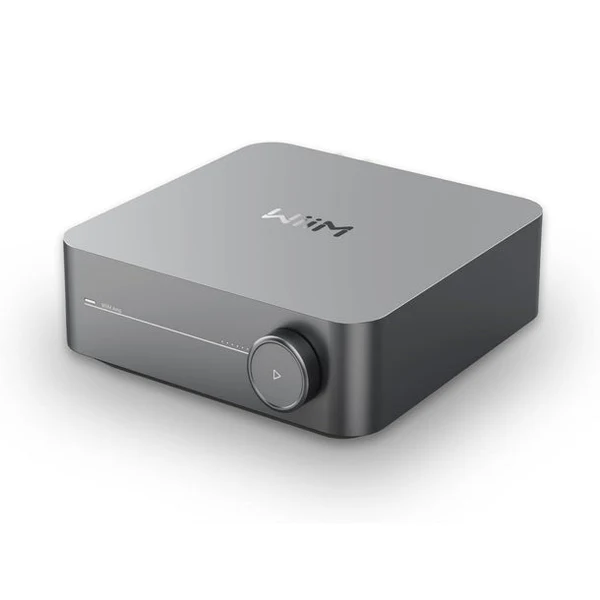 WIIM AMP