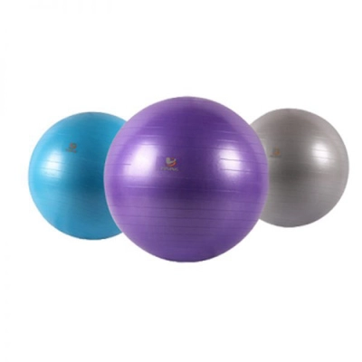 כדור התעמלות פיזיו 55 ס"מ